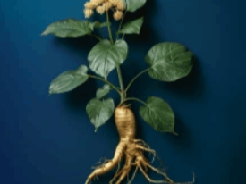 Nitricboostultra-Ingredient-3